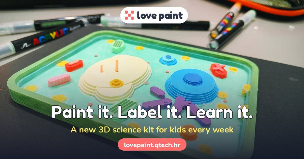 love paint — 3D science models kids print, paint, label and learn